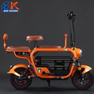 Xe đạp điện 2023